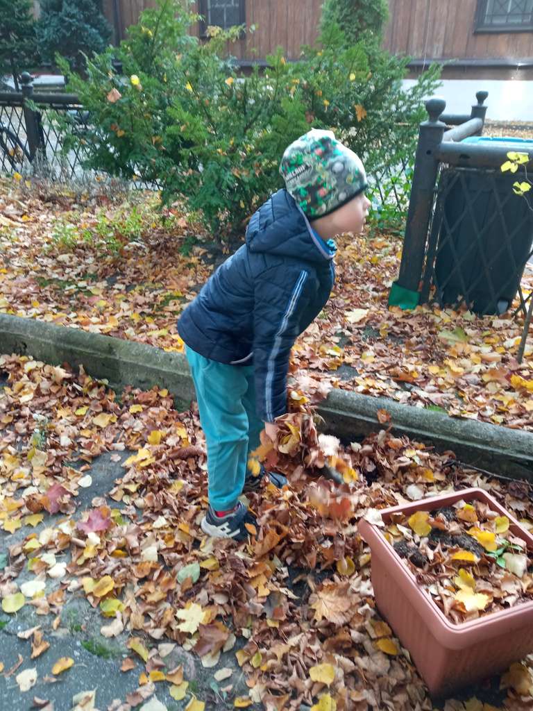 IMG_20211020_114945